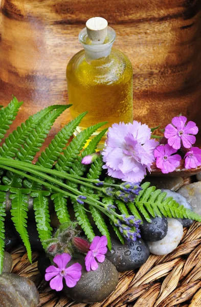 Olio Fiori Lavanda Pietre — Foto Stock