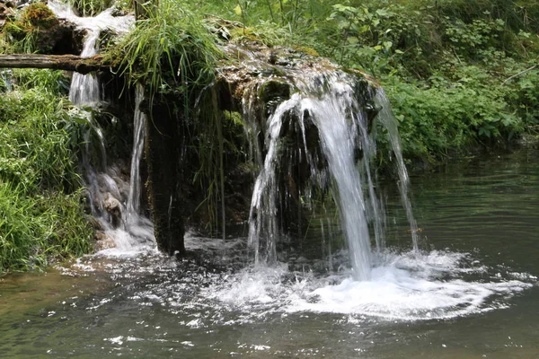 Waterfall Nature Forest Landscape — Stock Photo, Image