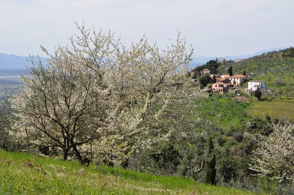 Vista Costa Toscana —  Fotos de Stock