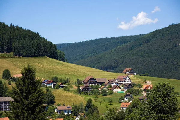 Forêt Noire Baiersbronn Été — Photo