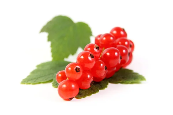 Beeren Nahaufnahme Gesundes Ernährungskonzept — Stockfoto