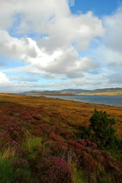 Haltbarkeit Schottland Farbenpracht Der Heide — Stockfoto