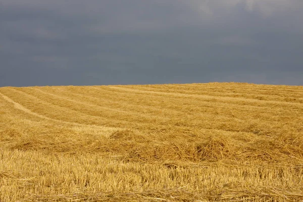 Sommer Auf Dem Land — Stockfoto