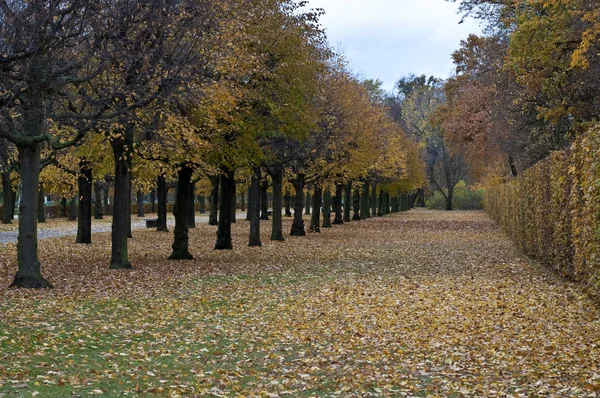 Bellissimo Paesaggio Autunnale Sullo Sfondo — Foto Stock