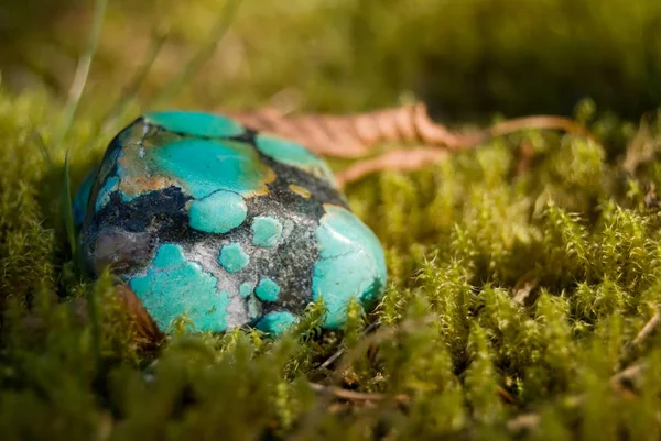 Oeufs Pâques Dans Herbe — Photo