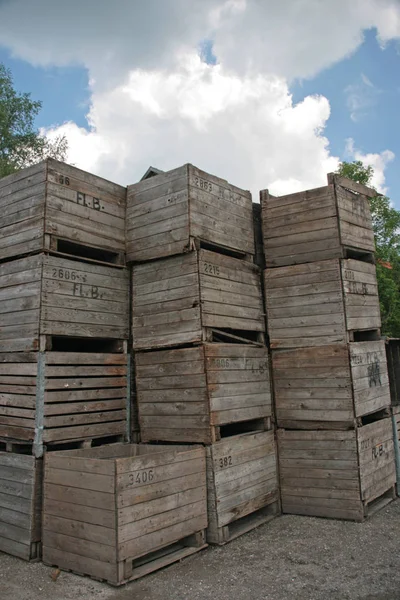 Dřevěné Palety Prodej Skladu — Stock fotografie