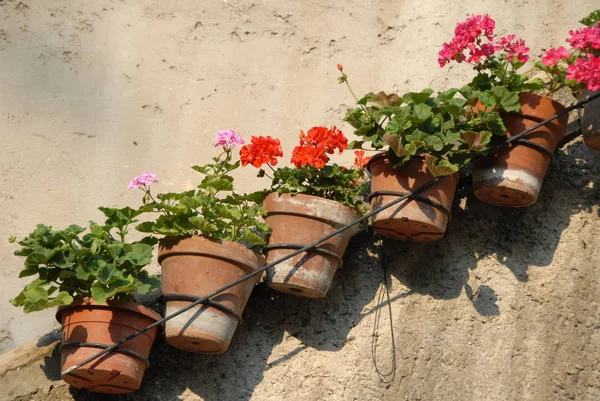 Verschiedene Töpfe Töpferobjekte — Stockfoto