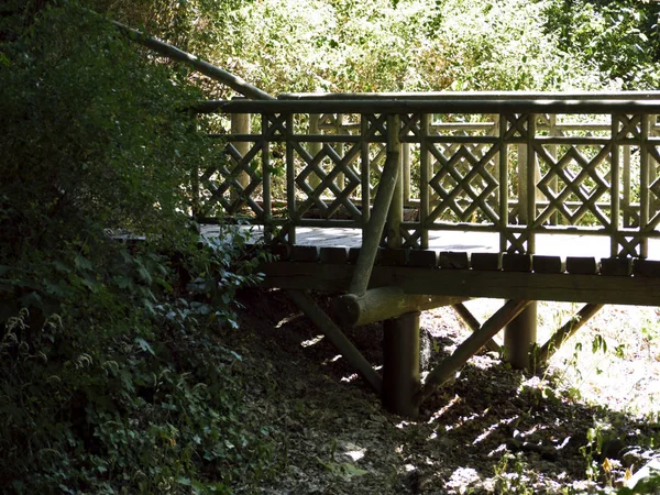 公園内の木製の橋 — ストック写真