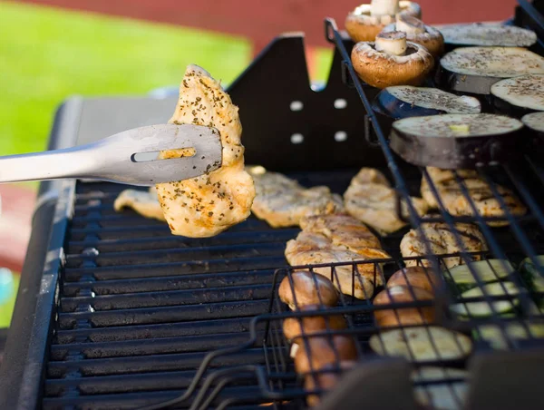 Bbq Piknik Partisi Izgara — Stok fotoğraf