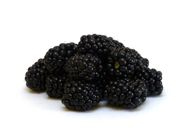 Brombeeren Rubus Sectio Rubus — Stockfoto