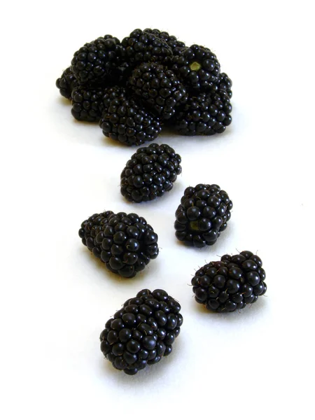 Brombeeren Rubus Sectio Rubus — Stockfoto