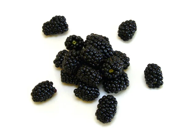 Blackberry Rubus Seo Rubus — стоковое фото