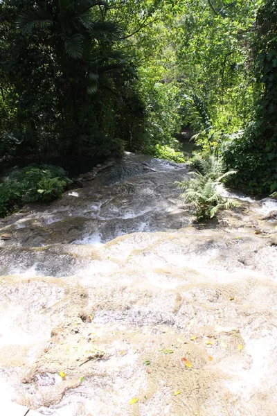 Cascate Del Fiume Mahoe Ocho Rios — Foto Stock