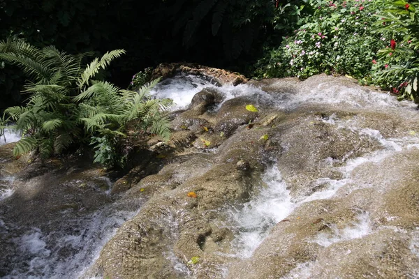 奥乔里奥斯的马霍河瀑布 — 图库照片