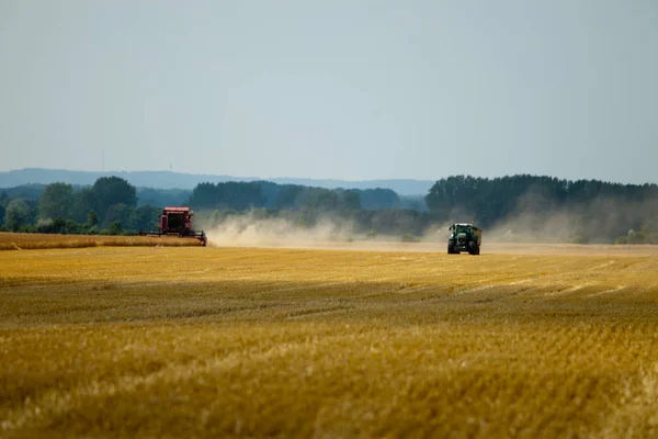 Combinare Mietitrebbie Nel Campo Agricolo — Foto Stock