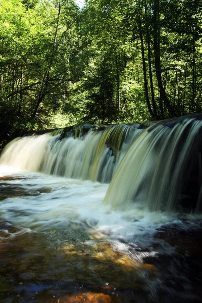 Přírodní Flóra Vodopád Průtok Vody — Stock fotografie