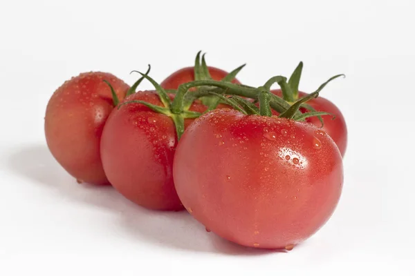 Tomates Orgânicos Maduros Frescos — Fotografia de Stock