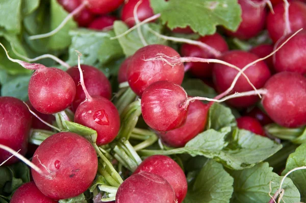 Chiudere Cibo Delizioso — Foto Stock