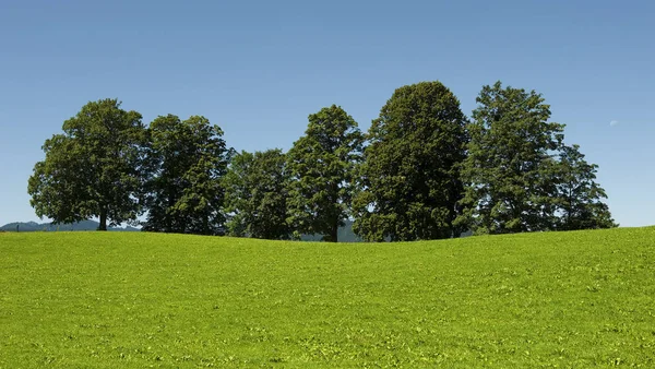 Prachtig Uitzicht Het Natuurlandschap — Stockfoto