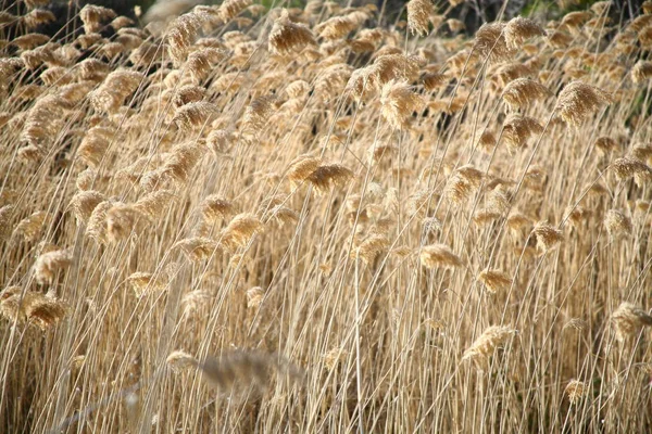 Pittoresk Uitzicht Buitenwereld — Stockfoto