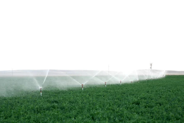 Irrigation Sprinklers Water Farm Field Late Afternoon — Stock Photo, Image