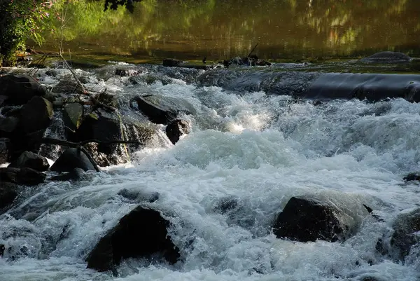 Rio Montanha Floresta — Fotografia de Stock