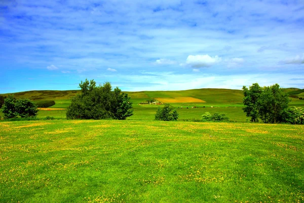 Güzel Yaz Manzarası Skoçya — Stok fotoğraf