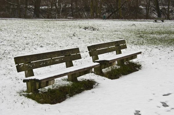 Vista Uma Cena Inverno — Fotografia de Stock