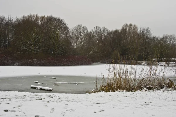 Malerischer Blick Auf Die Verschneite Winterlandschaft — Stockfoto