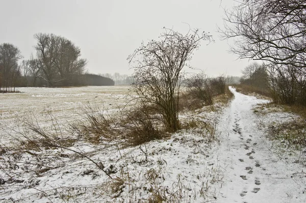 Vue Pittoresque Sur Paysage Hivernal Enneigé — Photo