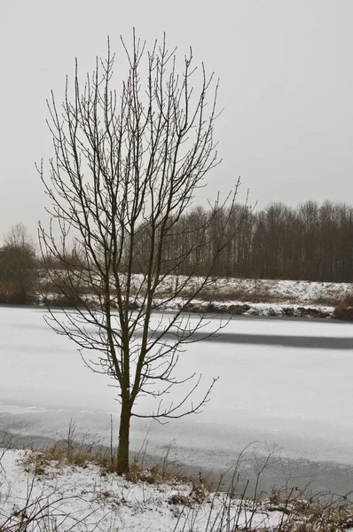 Vista Pitoresca Paisagem Inverno Coberto Neve — Fotografia de Stock