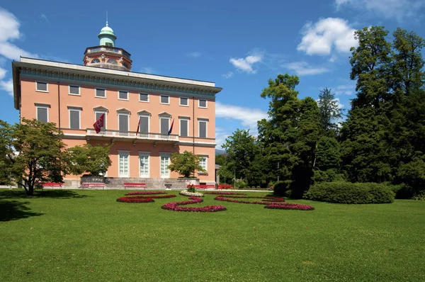 Piękne Botaniczne Ujęcie Naturalna Tapeta — Zdjęcie stockowe