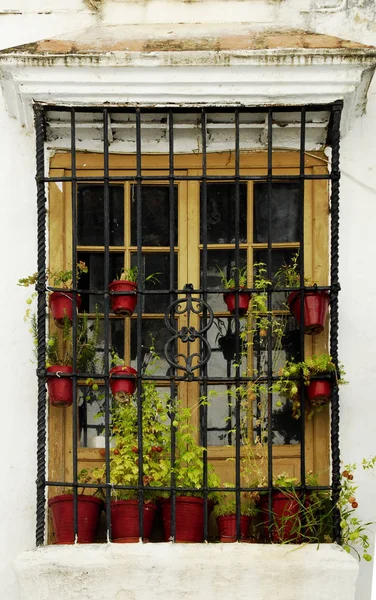 Arquitetura Diferente Foco Seletivo — Fotografia de Stock