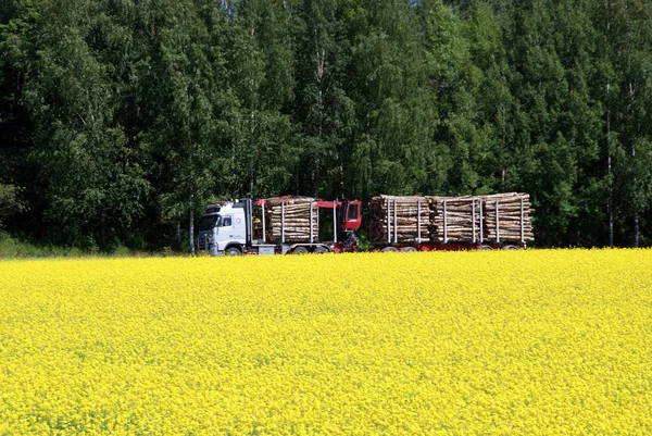 Logging Truck and Rapeseed Field