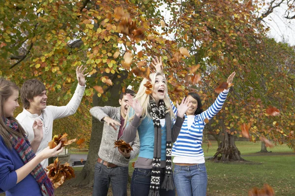 Grup Genç Arkadaş Atma Sonbahar Manzara Modunda Bırakır — Stok fotoğraf
