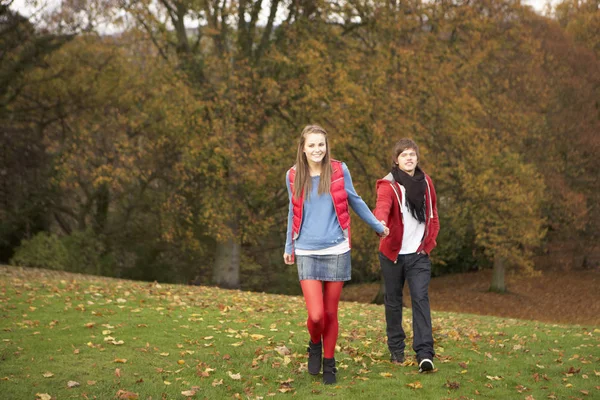 Casal Adolescente Romântico Andando Pela Paisagem Outono — Fotografia de Stock