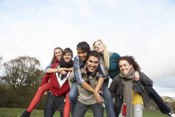 Groupe Amis Adolescents Ayant Des Promenades Dos Porc Dans Paysage — Photo