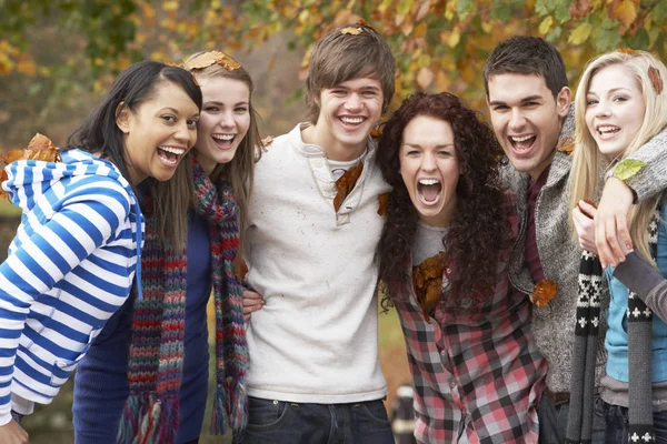 Skupina Šesti Dospívající Přátel Baví Podzimním Parku — Stock fotografie