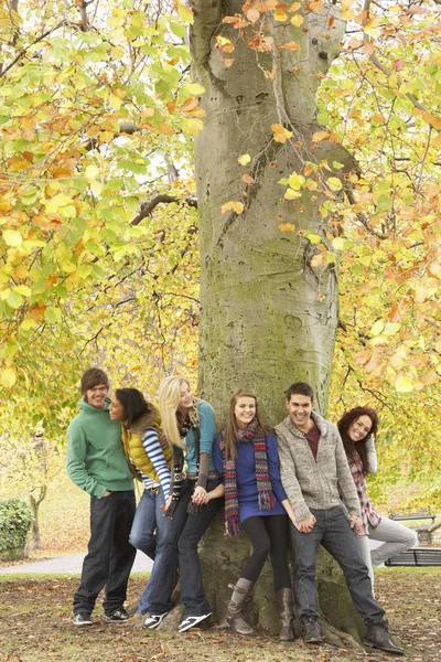 Groep Van Zes Jeugdvrienden Leunend Tegen Boom Herfst Park — Stockfoto