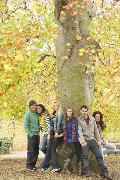 Група Шість Друзів Підлітків Спираючись Дерево Осінньому Парку — стокове фото