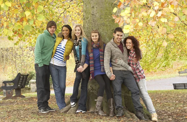 Grupa Sześciu Nastoletnich Przyjaciół Opierając Się Drzewa Parku Jesień — Zdjęcie stockowe