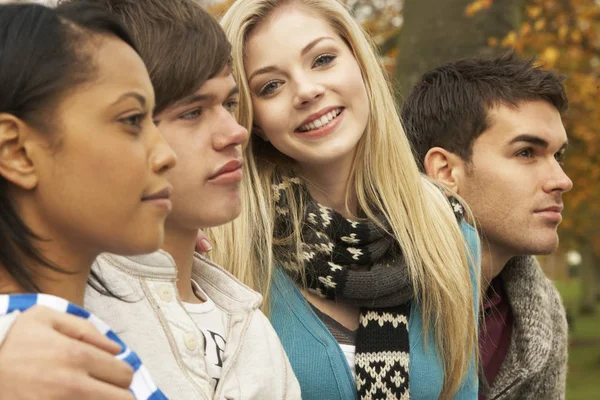 Gros Plan Groupe Quatre Amis Adolescents Dans Les Bois Automne — Photo