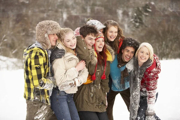 Ομάδα Εφήβων Φίλων Που Διασκεδάζουν Στο Χιονισμένο Τοπίο — Φωτογραφία Αρχείου