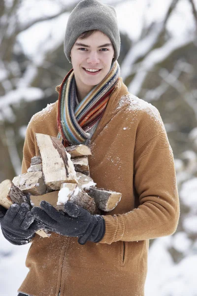 Tonårspojken Det Snöiga Landskapet Bär Loggar — Stockfoto
