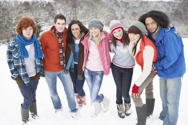 Ομάδα Εφήβων Φίλων Που Διασκεδάζουν Στο Χιονισμένο Τοπίο — Φωτογραφία Αρχείου