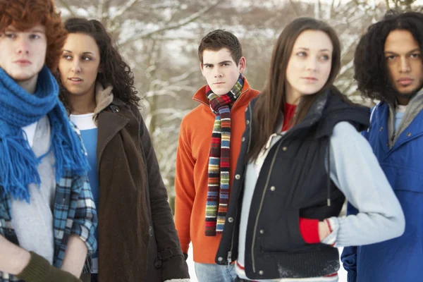 Grupa Nastoletnich Przyjaciół Zabawiających Się Śnieżnym Pejzażu Noszących Odzież Narciarską — Zdjęcie stockowe