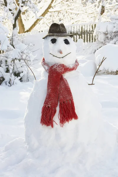 Снеговик Саду — стоковое фото