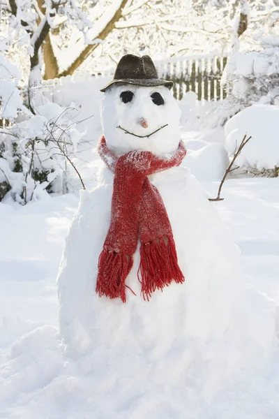 Close Van Snowman Garden — Stockfoto