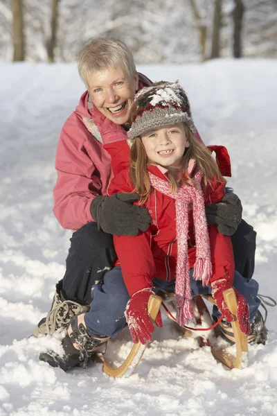 Ung Flicka Med Mormor Rider Sledge Snöiga Landskap — Stockfoto