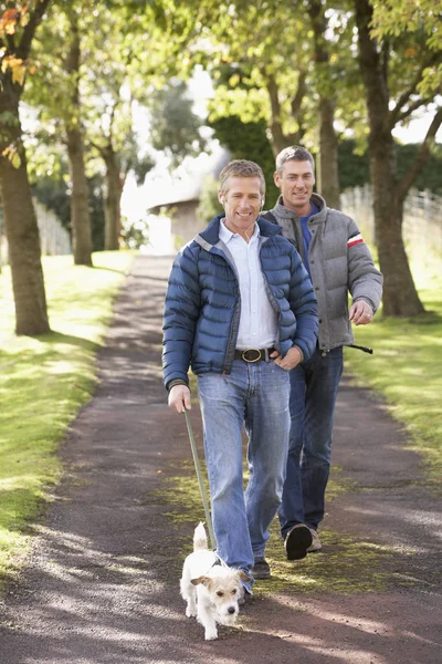 Zwei Befreundete Hunde Gehen Gemeinsam Herbstpark Spazieren — Stockfoto